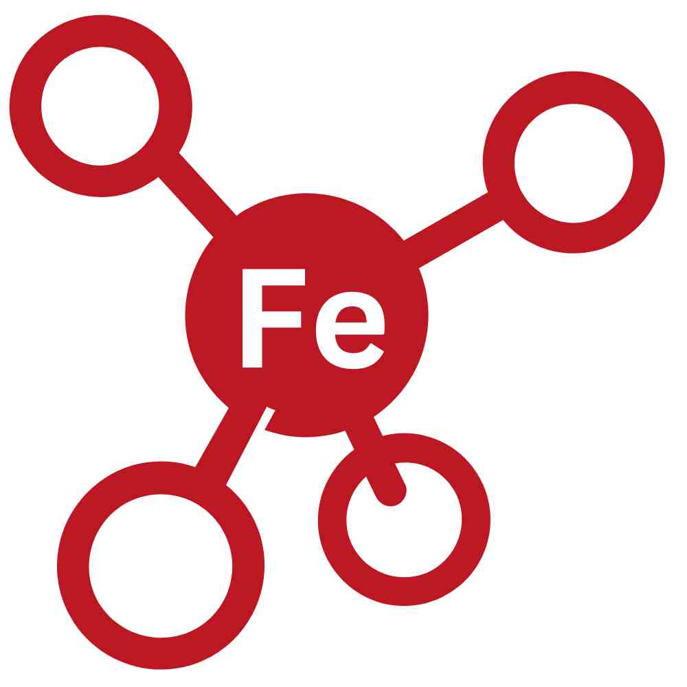 Cladser Fe-316L